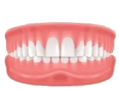 Deep Bite teeth and bite illustration