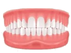 Normal Bite teeth and bite illustration
