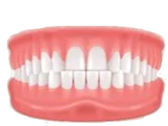 Underbite teeth and bite illustration